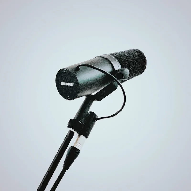 Auralux Studio Subwoofer 8