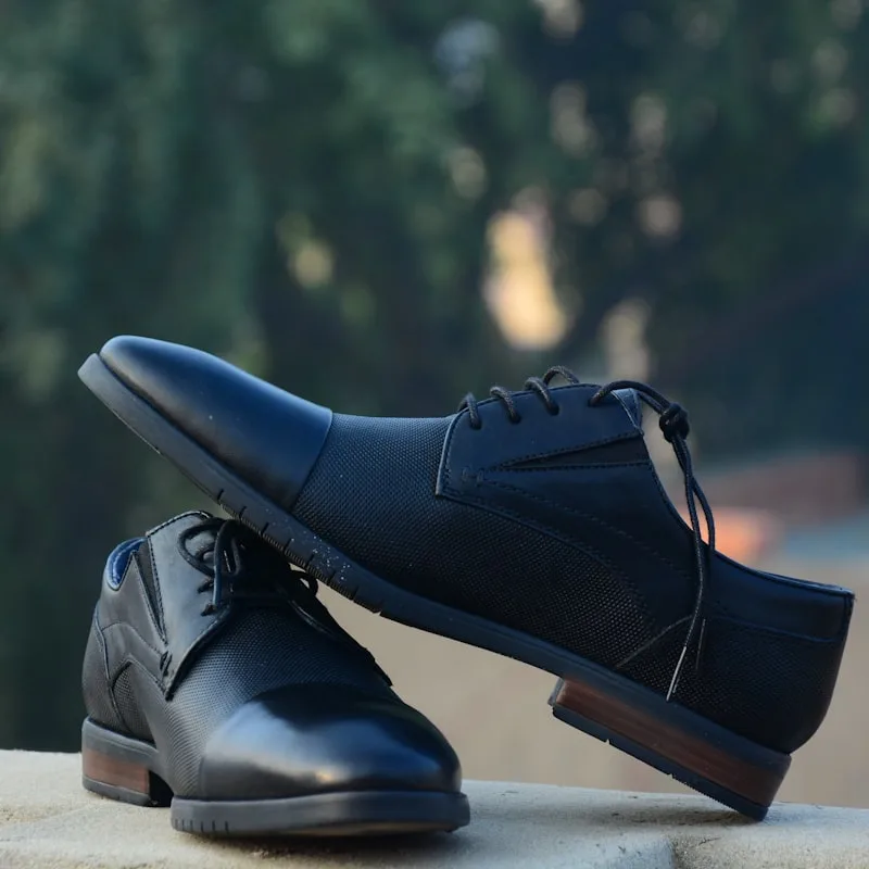 Aldwin Monk Strap Shoes