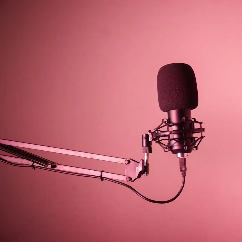 Sonicraft Pop Filter & Boom Arm Kit