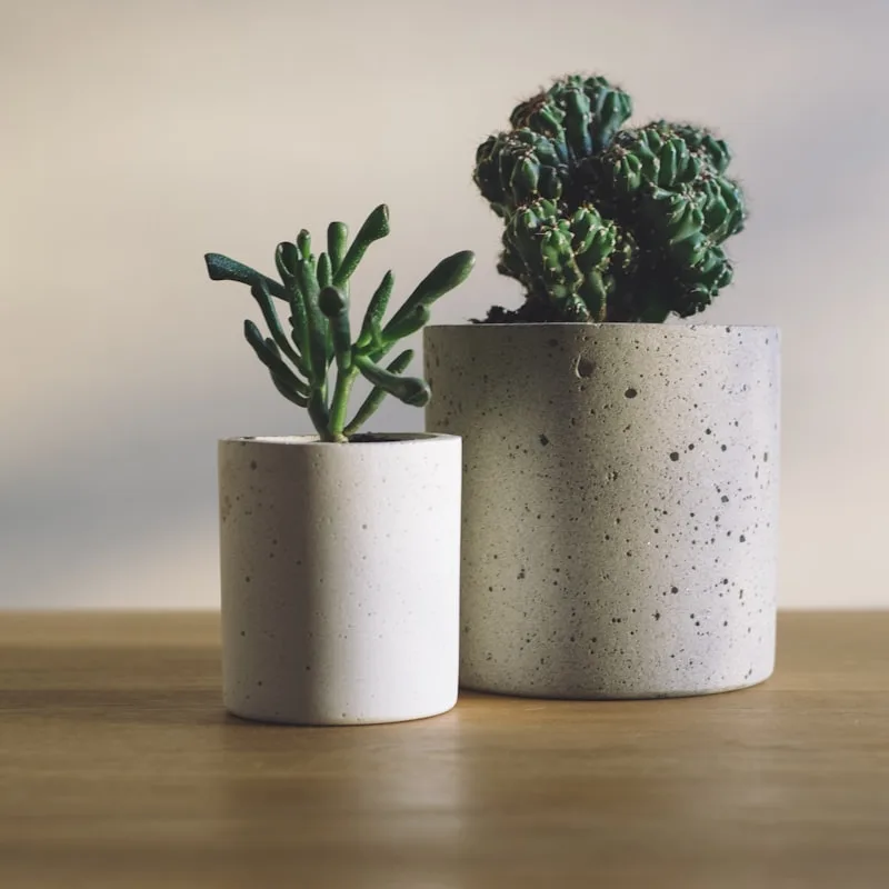 Terracotta Classic Pot
