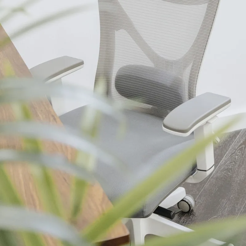 Cushly Memory Foam Seat Cushion