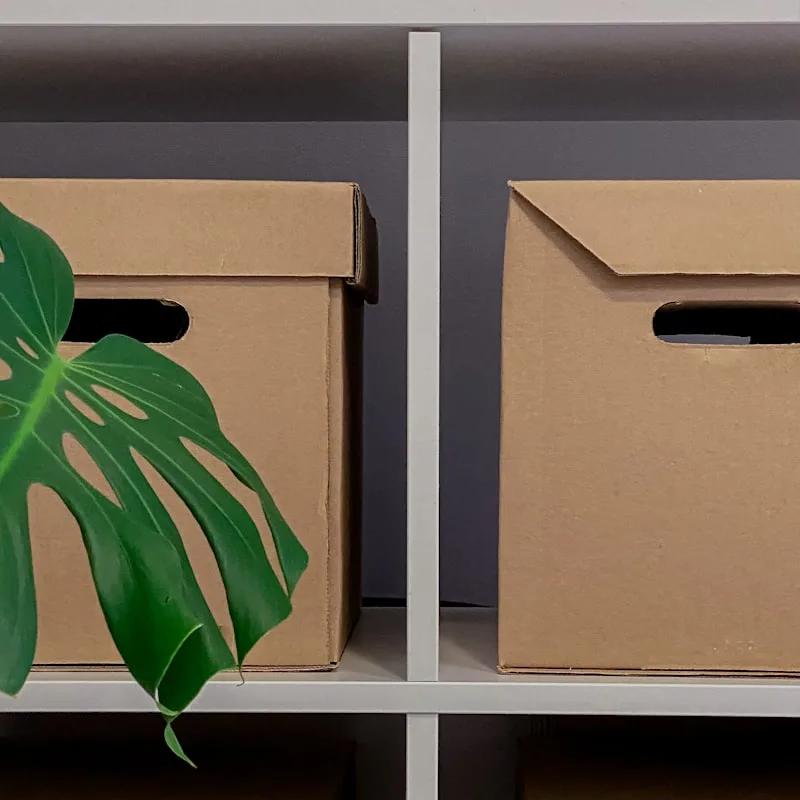 Stow Collapsible Fabric Storage Bins