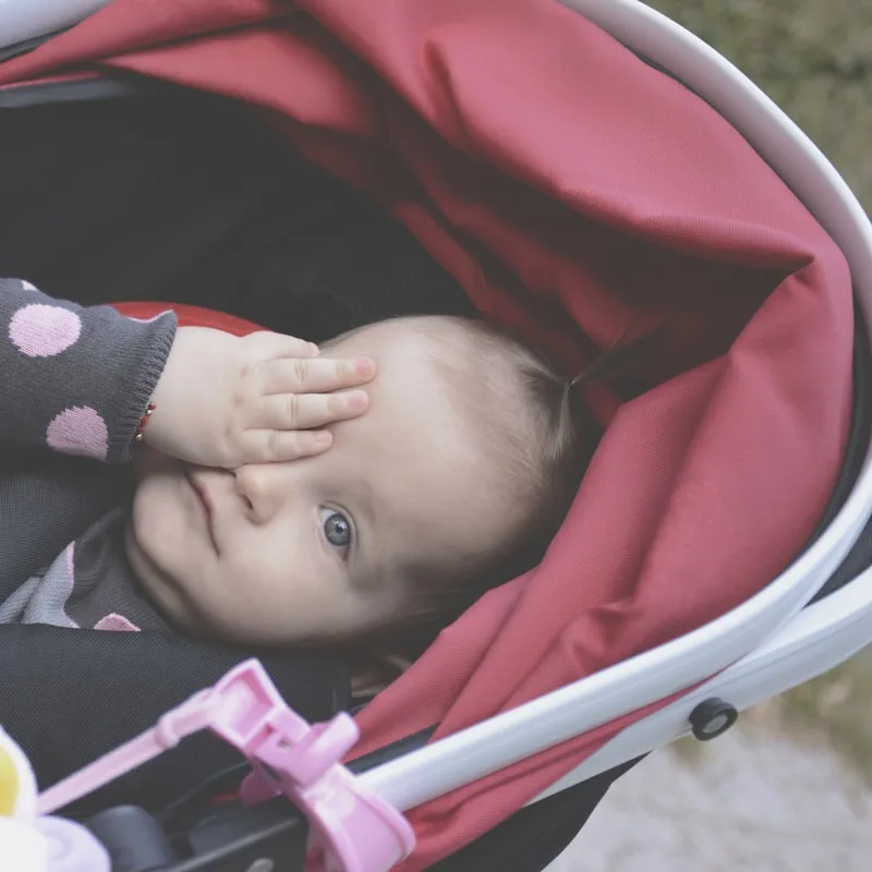 LittleWheels Toddler Wagon Stroller