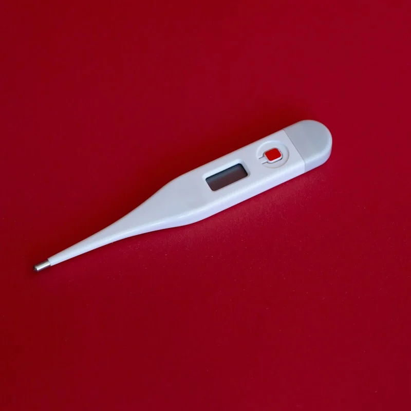 Smart Body Weight Scale