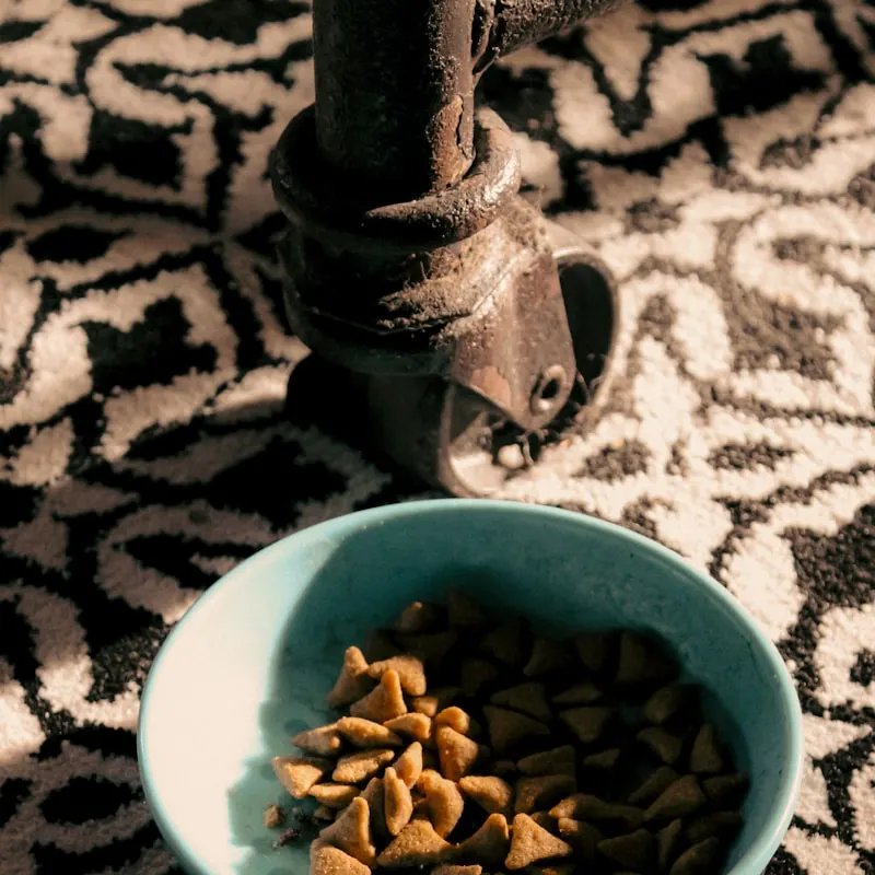Ocean Fish Wet Cat Food Pouches