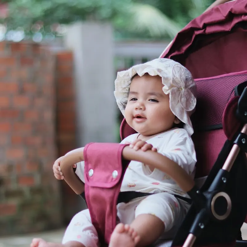 TrailBlazer Jogging Stroller