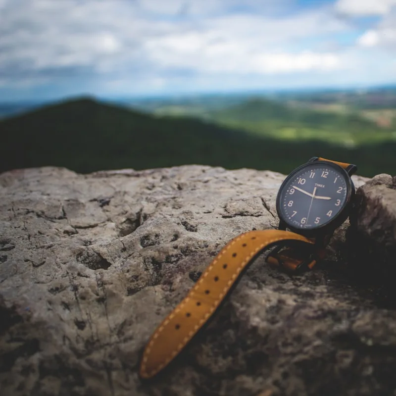 Vireo Minimalist Quartz