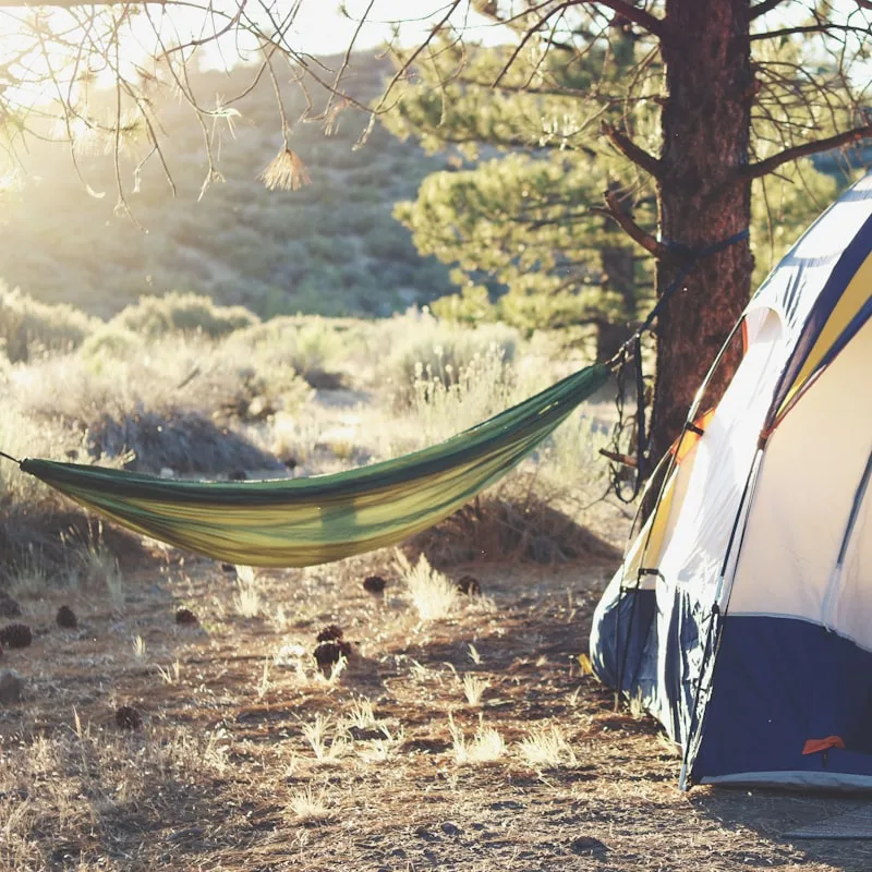 BaseCamp 6-Person Cabin Tent
