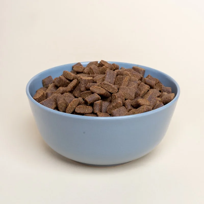 Salmon Feast Grain-Free Cat Food