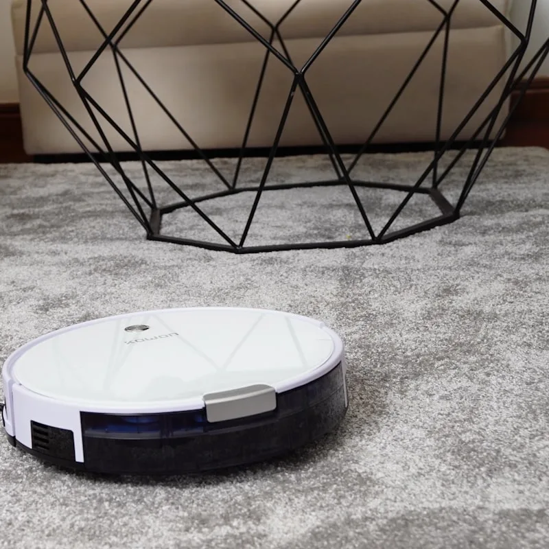 TidyRover Pet Edition