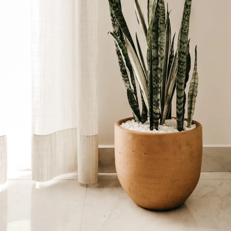 Self-Watering Planter