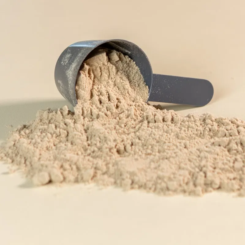 Whey Protein Powder Chocolate