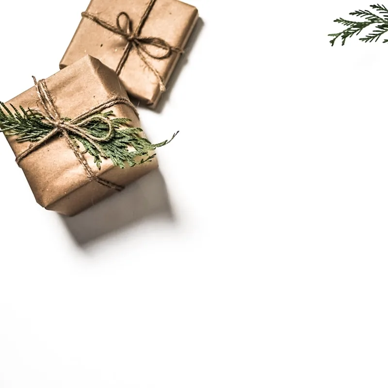 PleatPerfect Fabric Gift Wrap