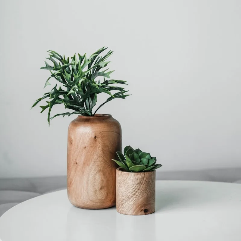 Bamboo Fiber Nursery Pots