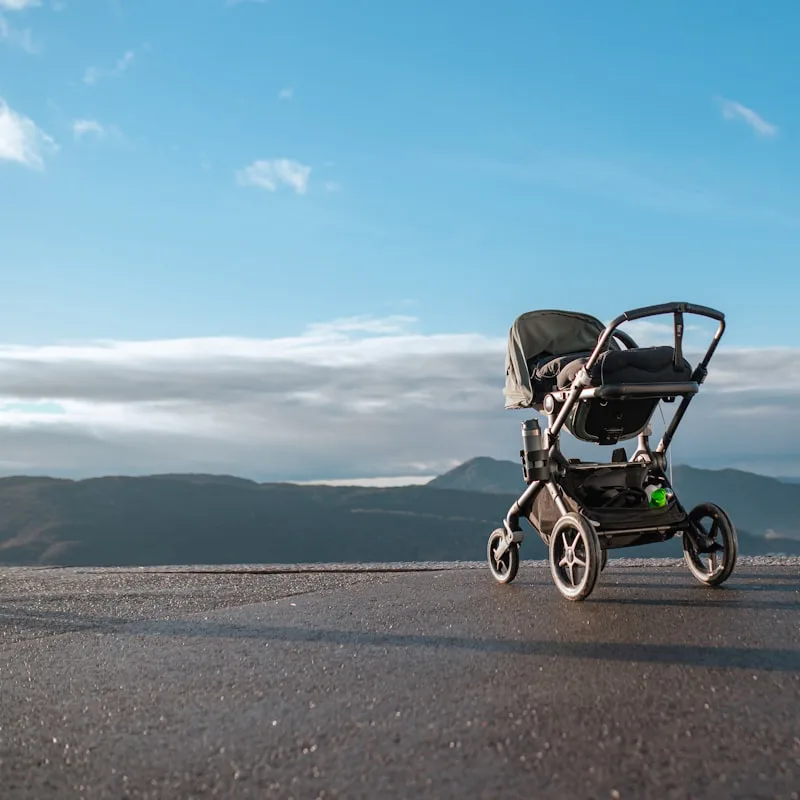 RoamEasy Lightweight Stroller