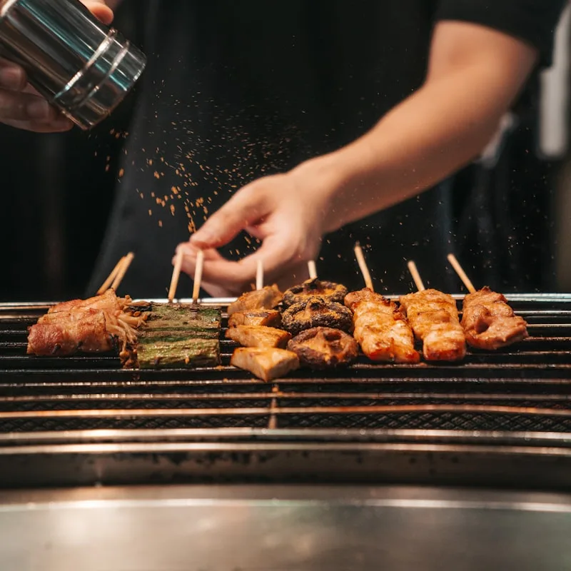 Electric Patio Grill
