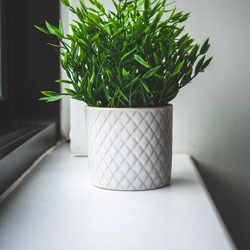 Bamboo Fiber Nursery Pots