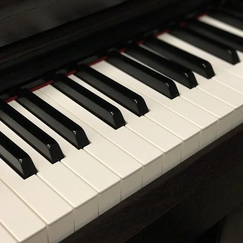 Aurelia Beginner Keyboard 54
