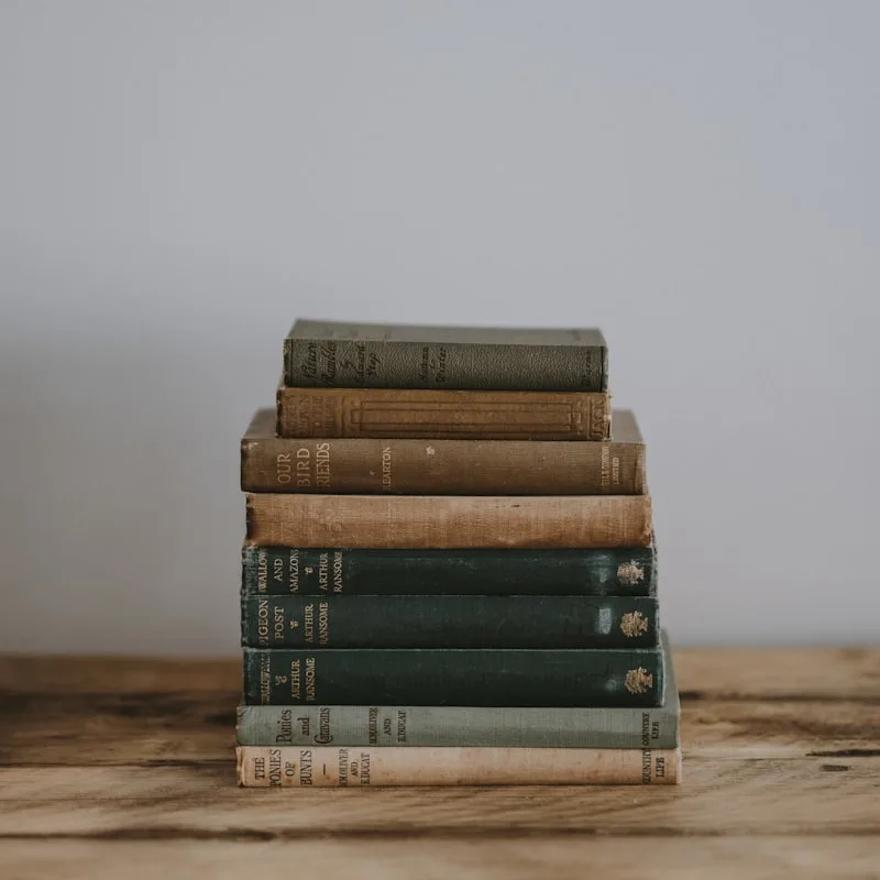 Everyday Brave: A Guide to Small Courage