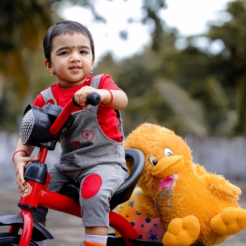 DreamCurve Baby Carrier