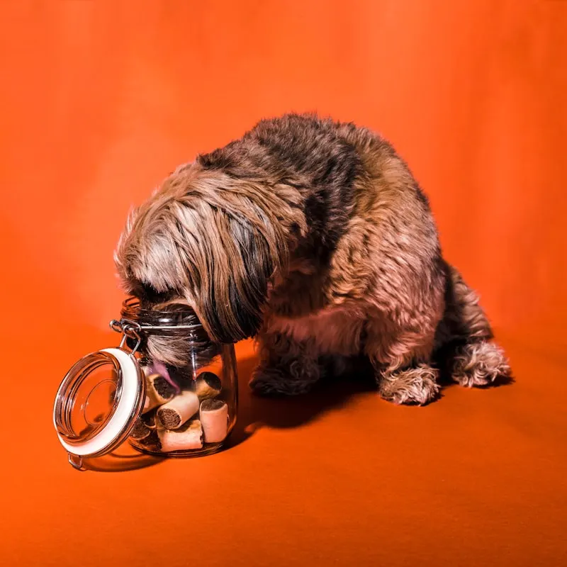 Dental Care Crunch Dog Sticks