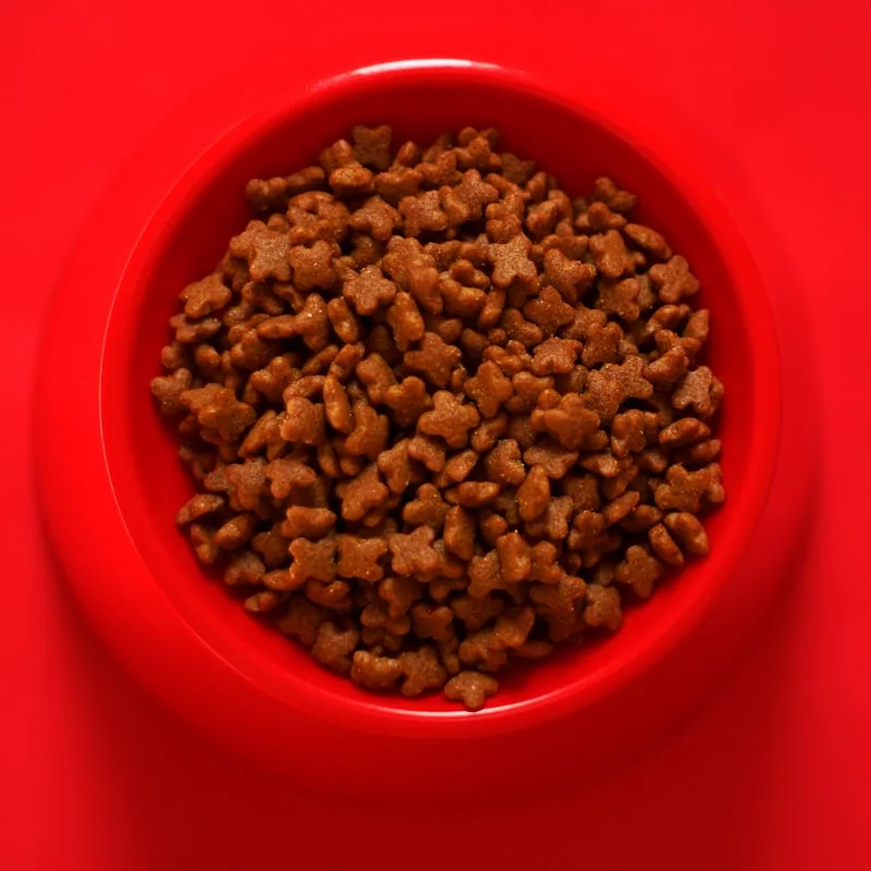 Beef Stew Wet Dog Food Cans
