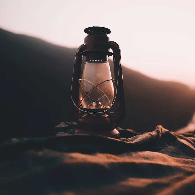 FireFly Mini Clip Light