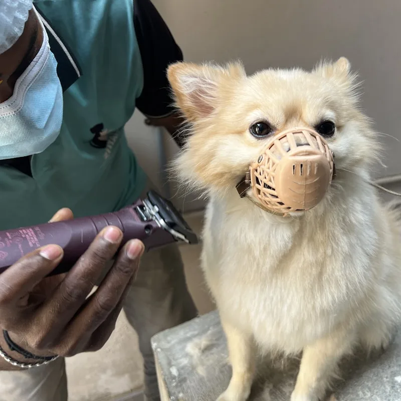 Grooming Wipes Fresh Pack