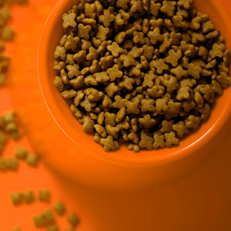 Chicken & Rice Adult Dog Kibble