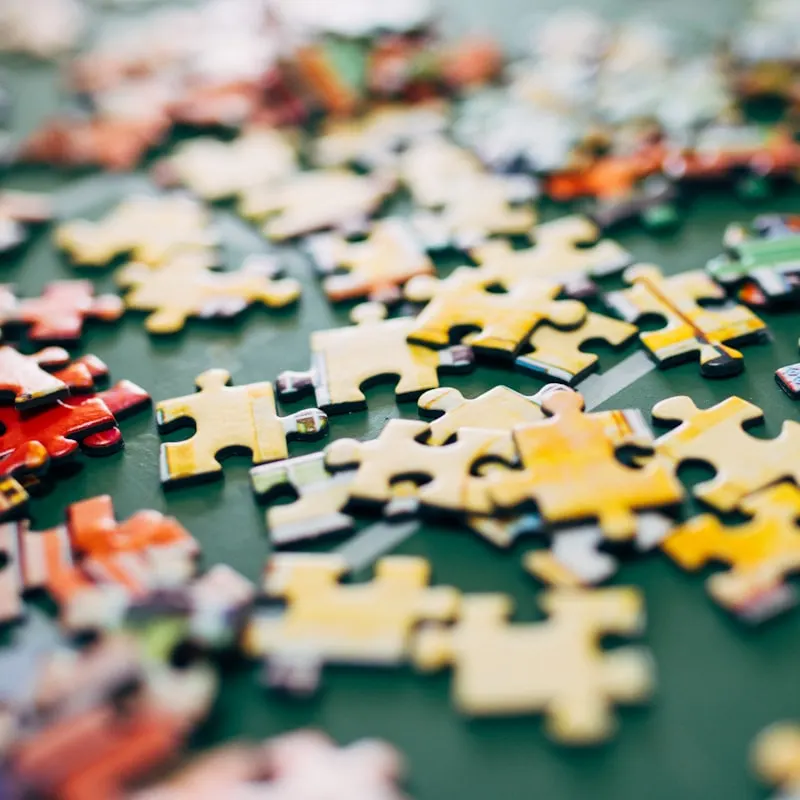 Reef Rescue 1000-Piece Puzzle