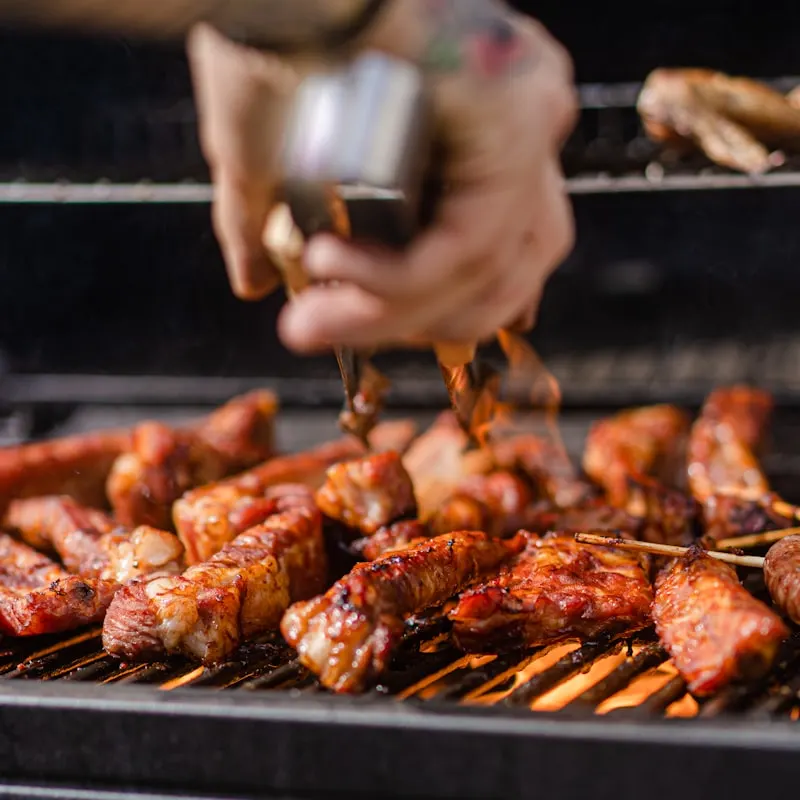 Electric Patio Grill