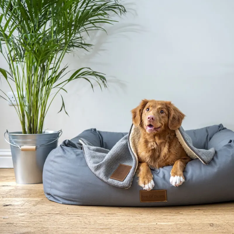 ChewGuard Rope Tug Toy