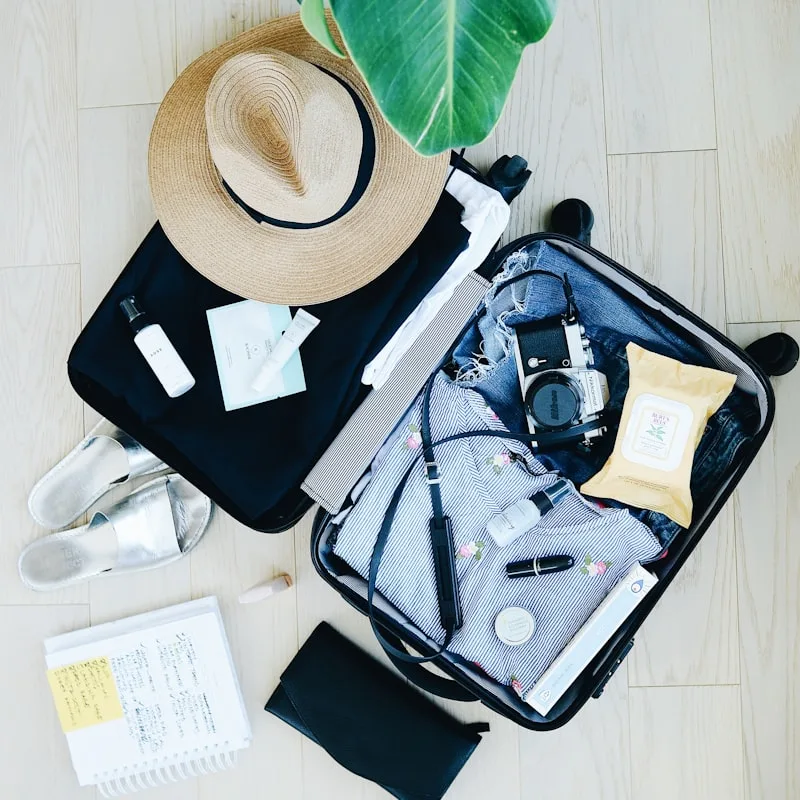 Voyager Hard-Shell Suitcase