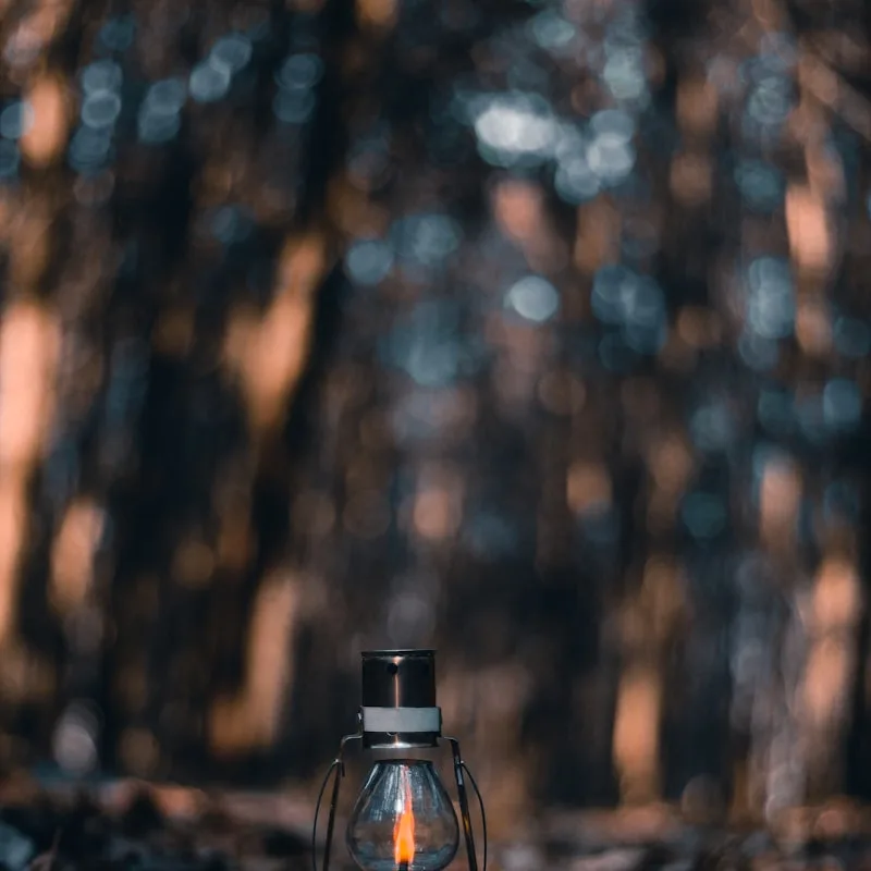 NightWatch Motion Camp Light