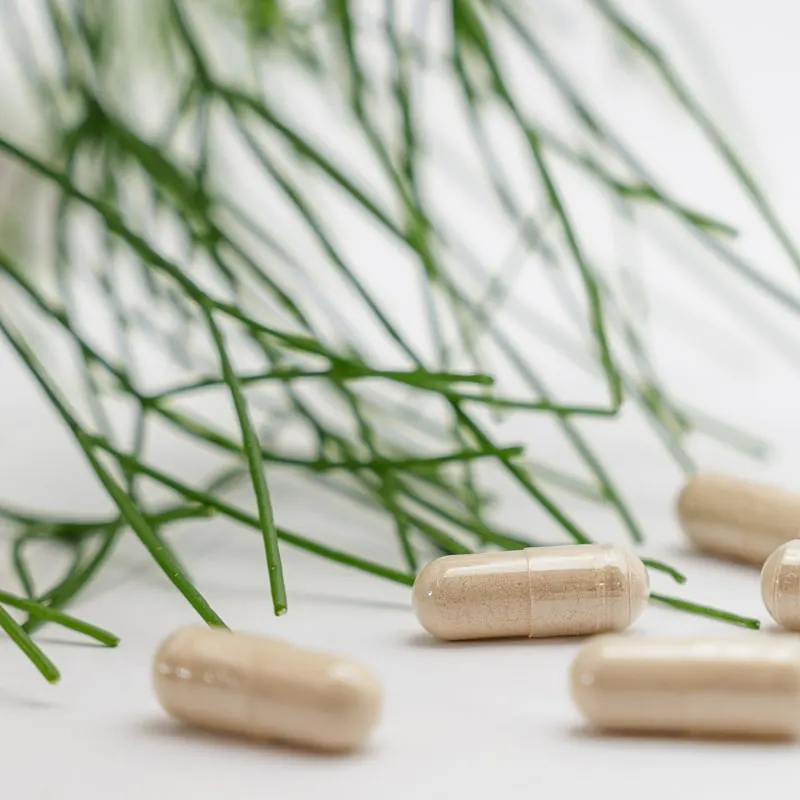Plant-Based Fiber Blend
